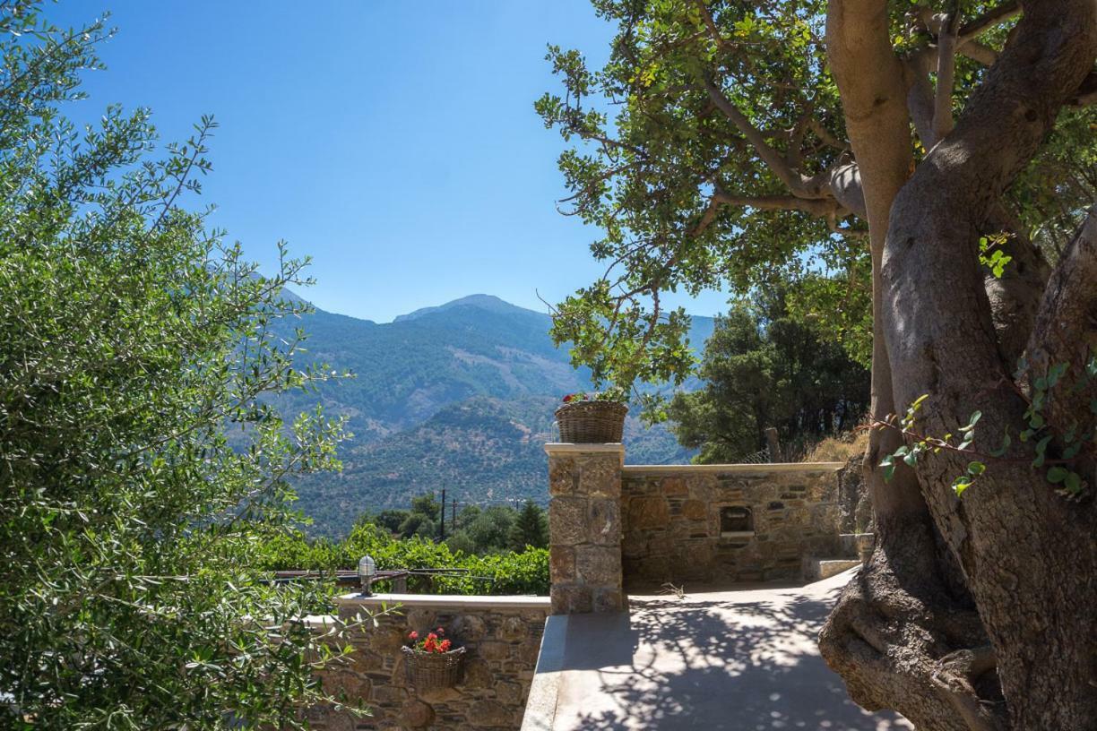 To Spiti Mas Apartment Sougia Bagian luar foto